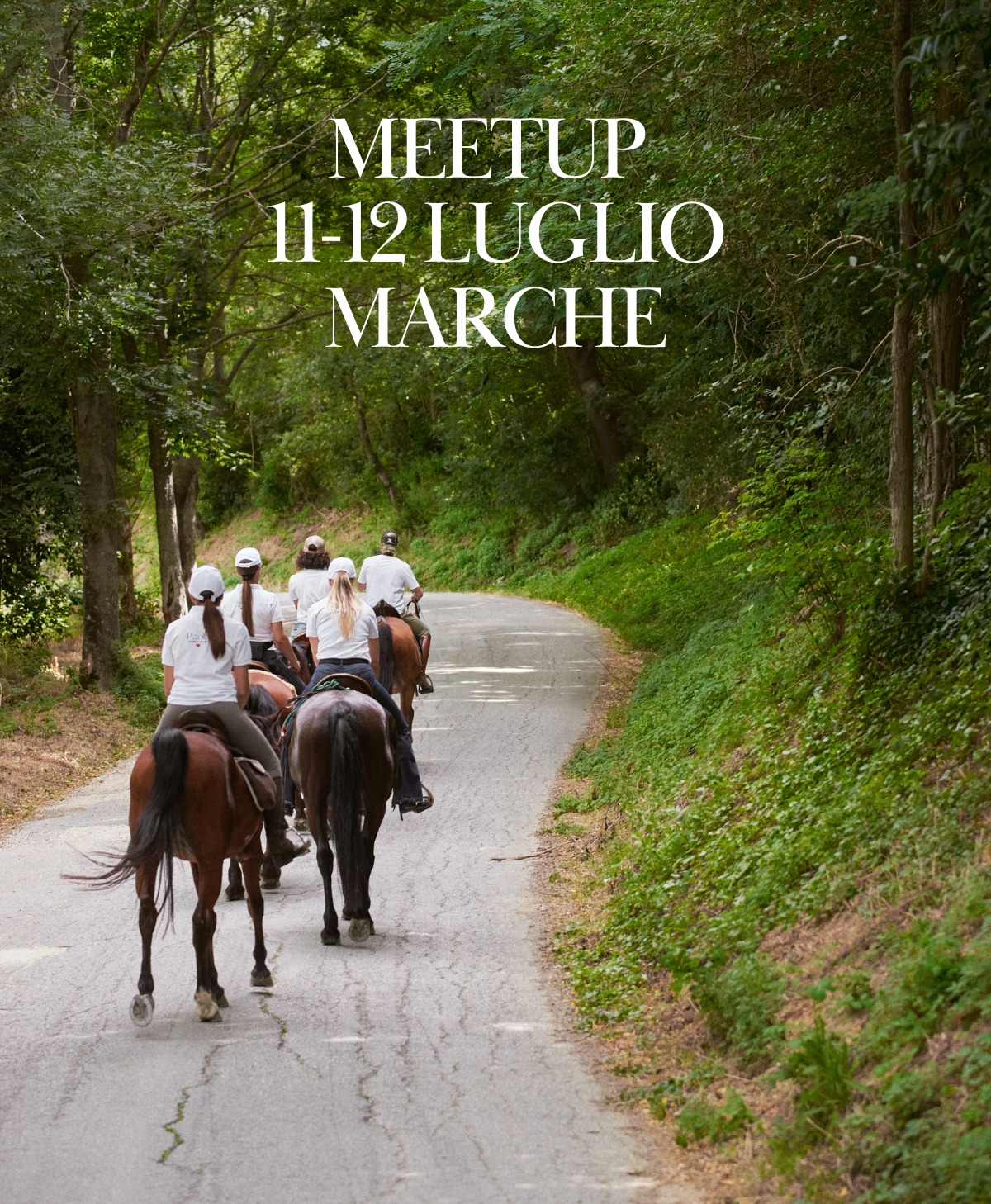 Trekking a cavallo tra i borghi delle Marche – Fratterosa e Montalfoglio