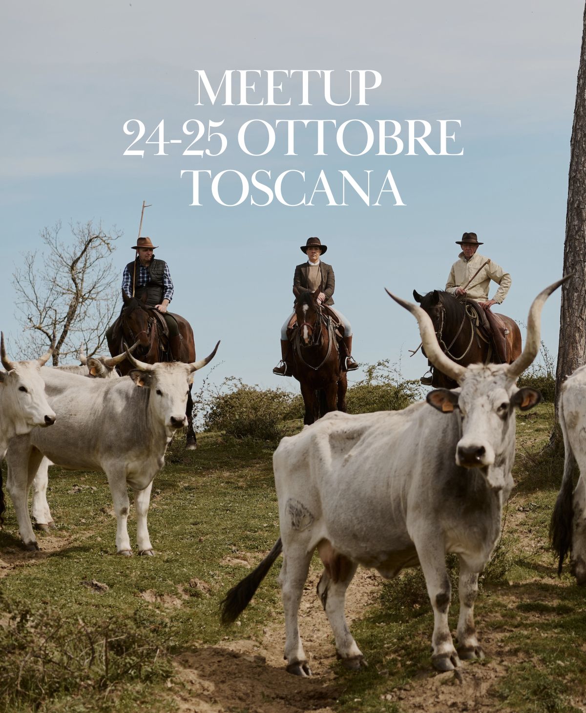 Toscana. Lavoro col bestiame con i Butteri della Forra - Ottobre