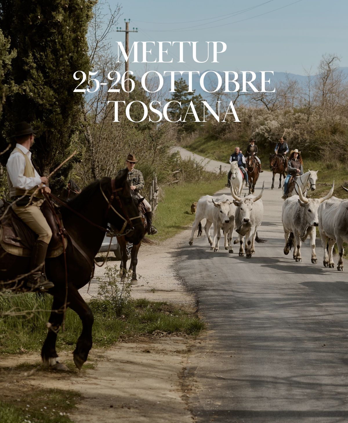 Toscana. Lavoro col bestiame con i Butteri della Forra - 25/26 Ottobre
