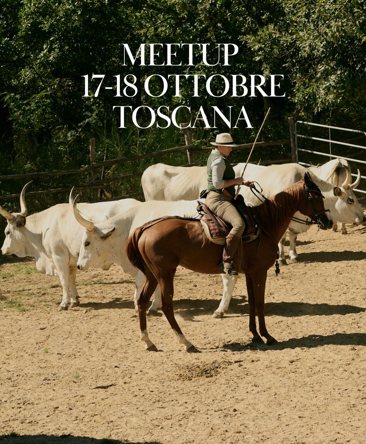 Toscana. Lavoro col bestiame con i Butteri della Forra - 17/18 Ottobre