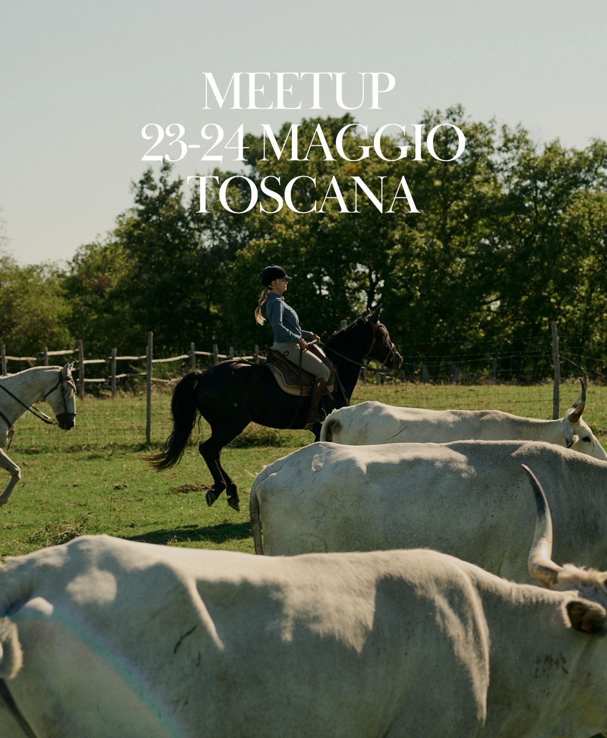 Toscana. Lavoro col bestiame con i Butteri della Forra - 23/24 Maggio