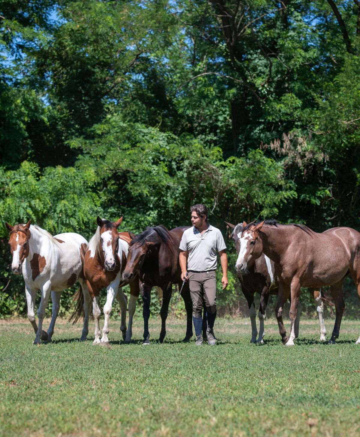 Comunicare con il cavallo a favore della tecnica equestre con Roberto De Vivo